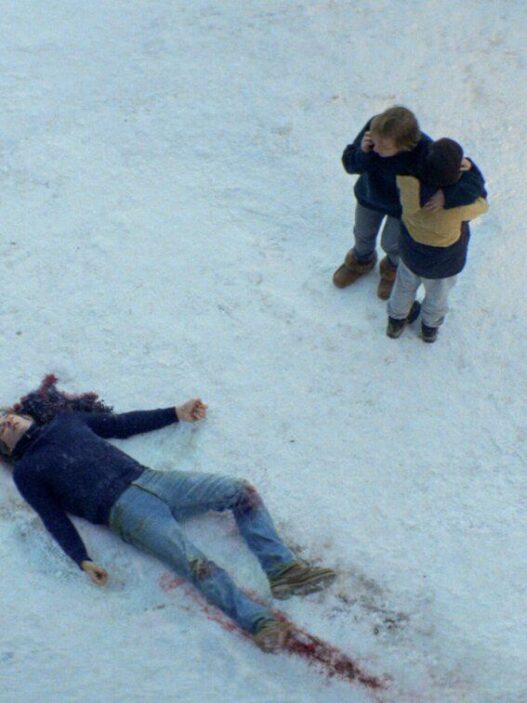 anatomia di una caduta