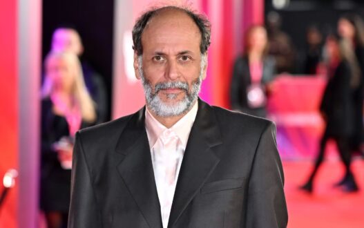 luca guadagnino
