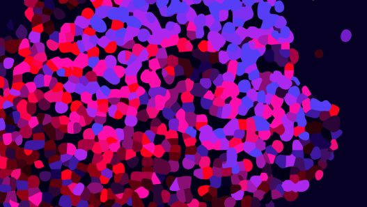 Berlinale 2026, il programma completo e tutti i film annunciati