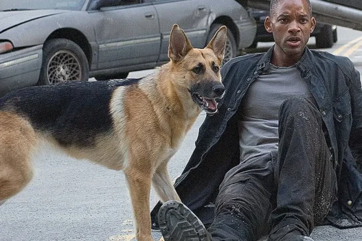 Io sono leggenda 2: Steven Caple Jr. dirigerà il sequel con Will Smith e Michael B. Jordan